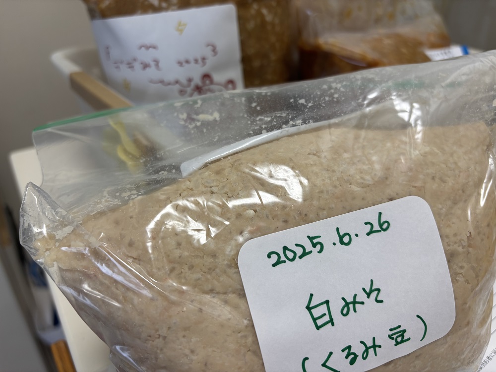 手作り味噌！出来上がるまで3か月も待てない方にお勧めが白みそ！