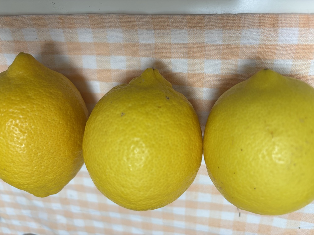 手作りポン酢を楽しんで作りませんか？